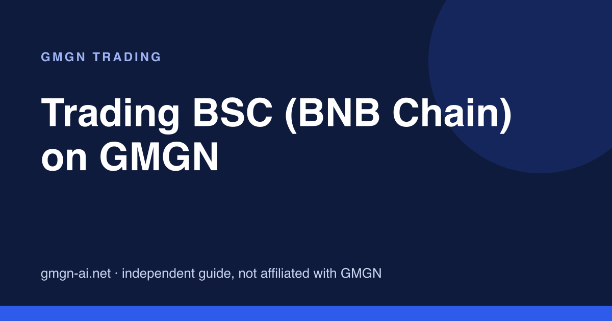 Trading BNB Smart Chain on GMGN: bots, gas token and fee data